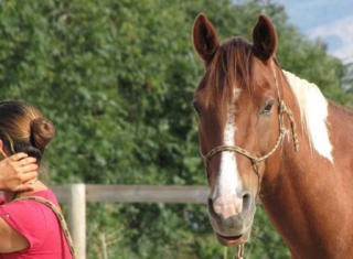 Avventura a cavallo nelle Alpi 